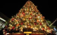 Η Δημοτική Βιβλιοθήκη Αμπελώνα στολίζει το χριστουγεννιάτικο δέντρο της!